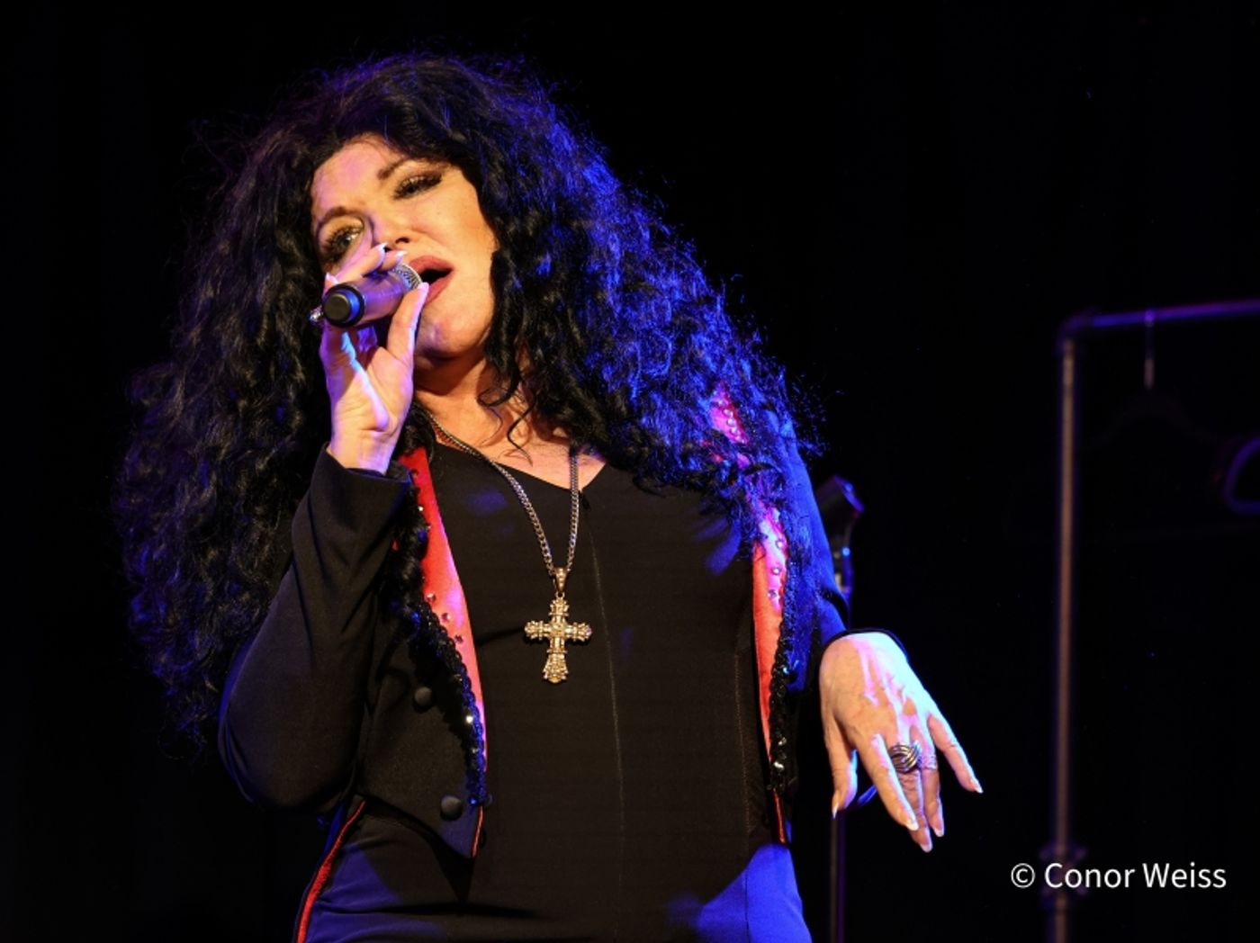 Photos: Dorothy Bishop Presents THE DOZEN DIVAS SHOW at The Triad Photos: Dorothy Bishop Presents THE DOZEN DIVAS SHOW at The Triad Image