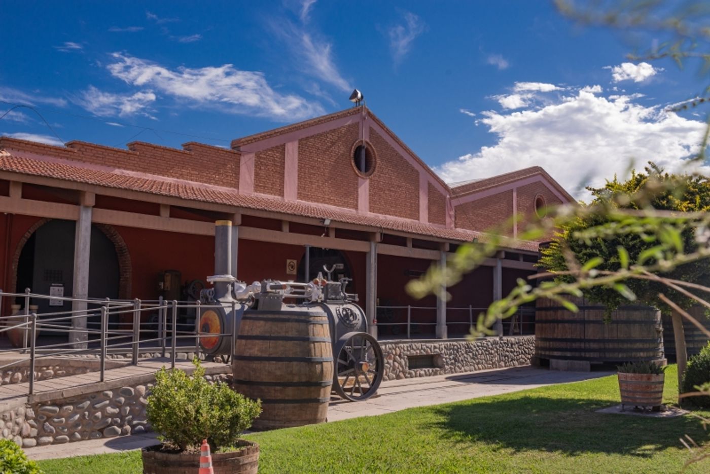 GRAFFIGNA WINERY-Ideal for Malbec Month  Image