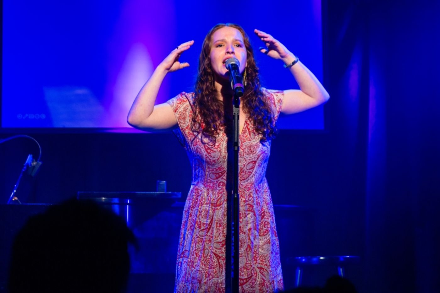 Photos: March 29th BOUND FOR BROADWAY at The Triad By Photographer Ian McQueen Photos: March 29th BOUND FOR BROADWAY at The Triad By Photographer Ian McQueen Image