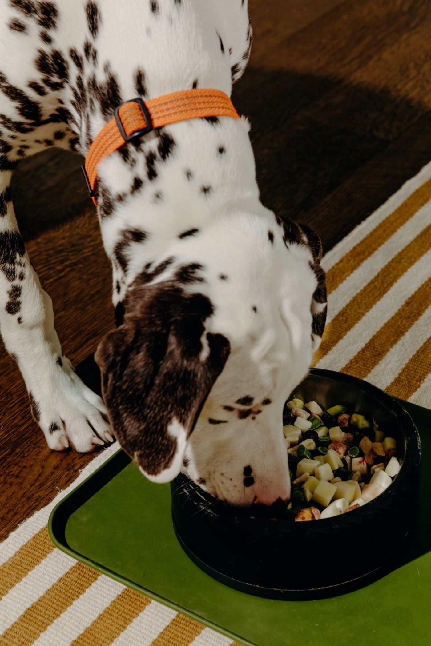 Ready, Set, Shop - MOM Deserves the Best on Mother's Day, 5/14 Ready, Set, Shop - MOM Deserves the Best on Mother's Day, 5/14 Image