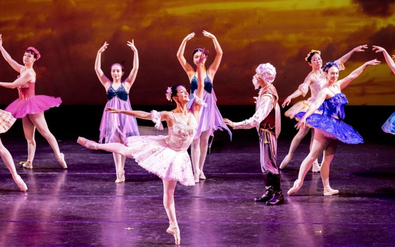 Review: DON QUIXOTE, BY the American Liberty Ballet with principal dancer ANALÍA FARFAN at St Jean's Theater, New York  Image