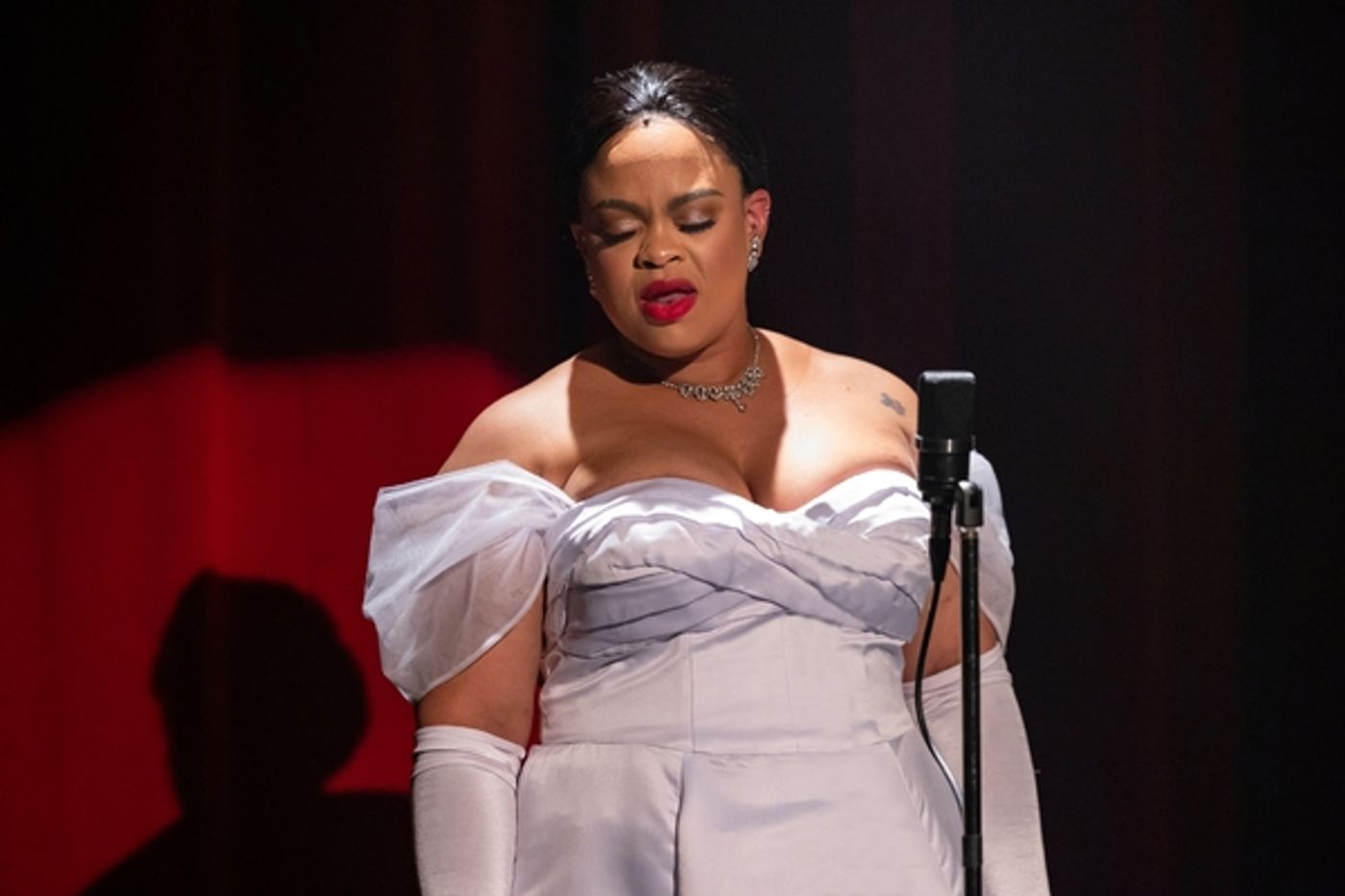 Photos: First Look at Philadelphia Theatre Company's Production of LADY DAY AT EMERSON'S BAR AND GRILL  Image