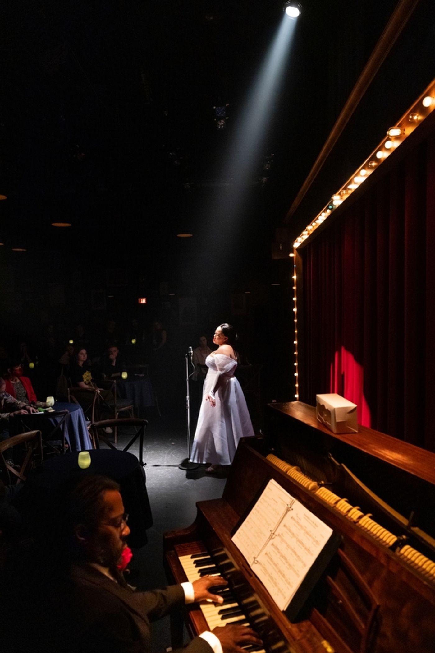 Photos: First Look at Philadelphia Theatre Company's Production of LADY DAY AT EMERSON'S BAR AND GRILL  Image