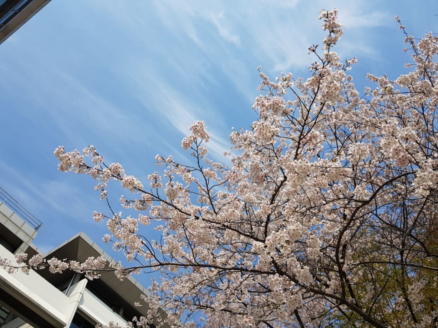 Student Blog: Tips for a Healthier, Happier You - Overcoming Burnout  Image