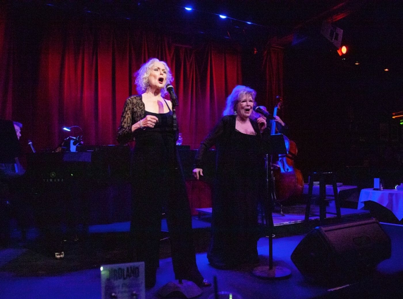 Review: Anita Gillette & Penny Fuller Leave Birdland Audience Sated With SIN TWISTERS: THE NEXT FRONTIER Review: Anita Gillette & Penny Fuller Leave Birdland Audience Sated With SIN TWISTERS: THE NEXT FRONTIER Image