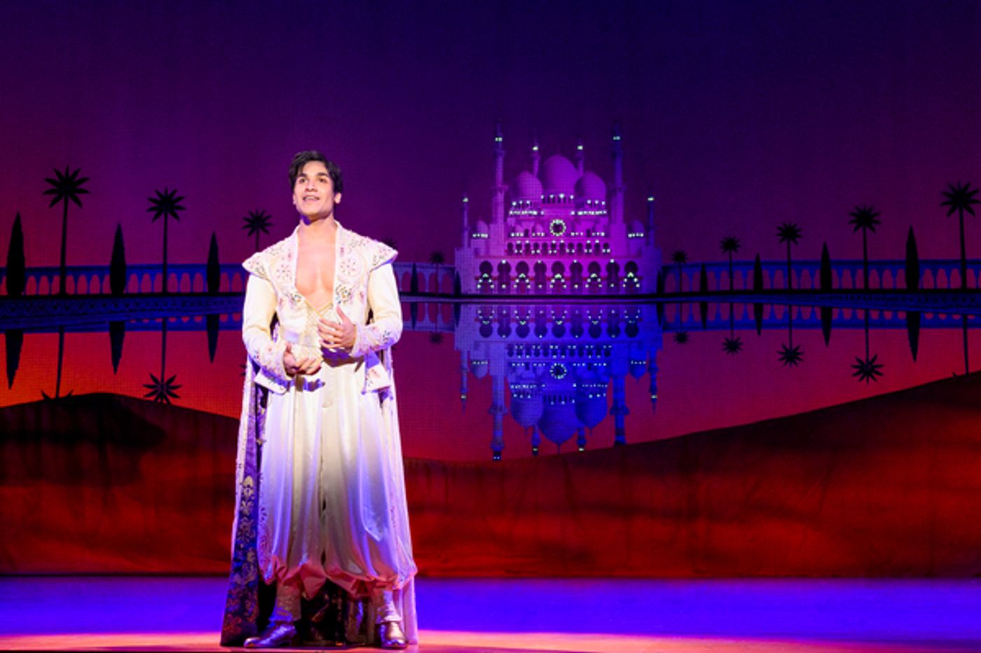 Review: ALADDIN at The National Theatre  Image