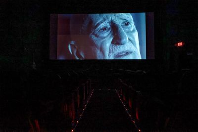 Dominic Chianese in The Old Guitarist Photo