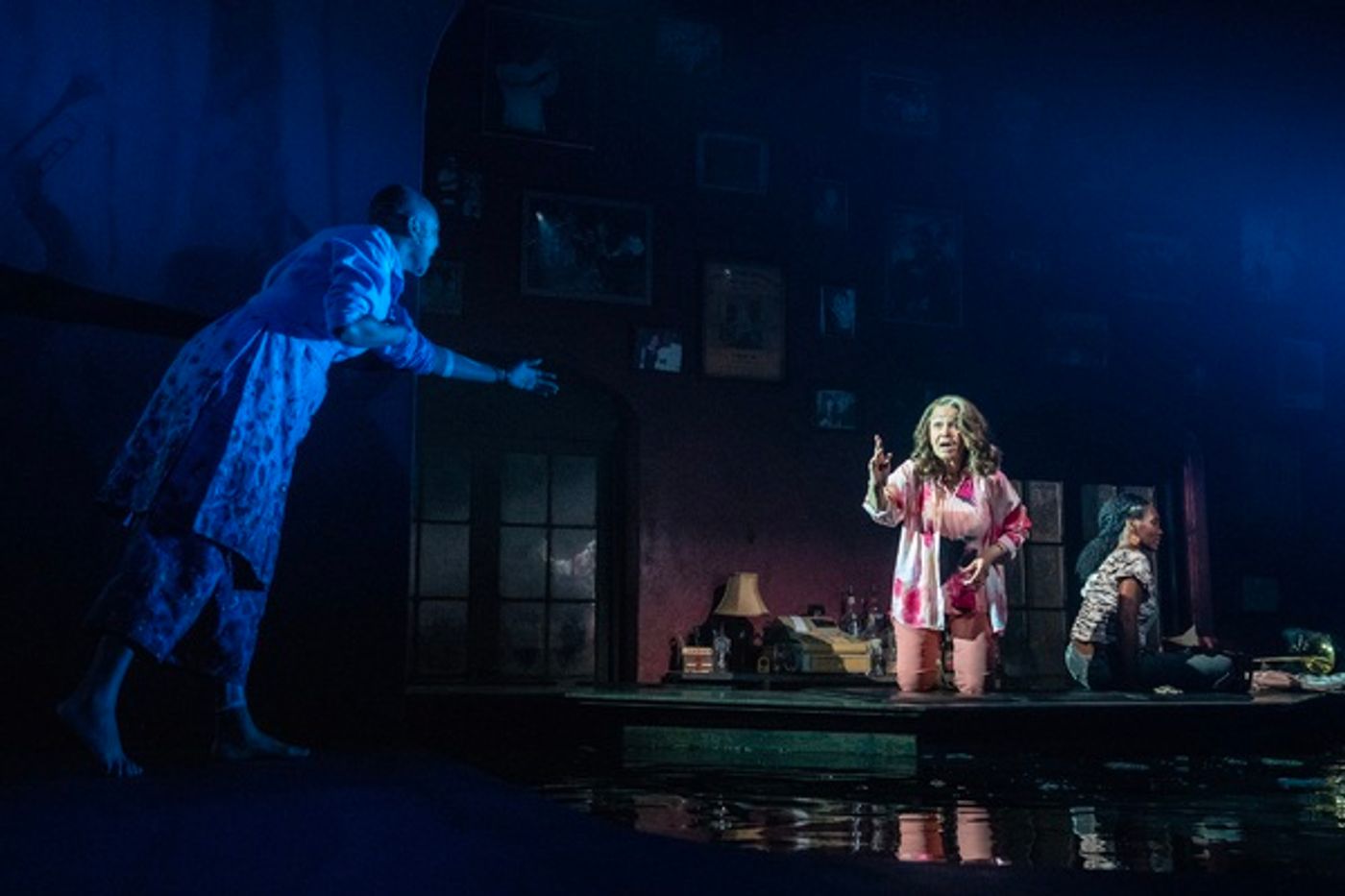 Photos: First Look at SHADOW/LAND at The Public Theater  Image