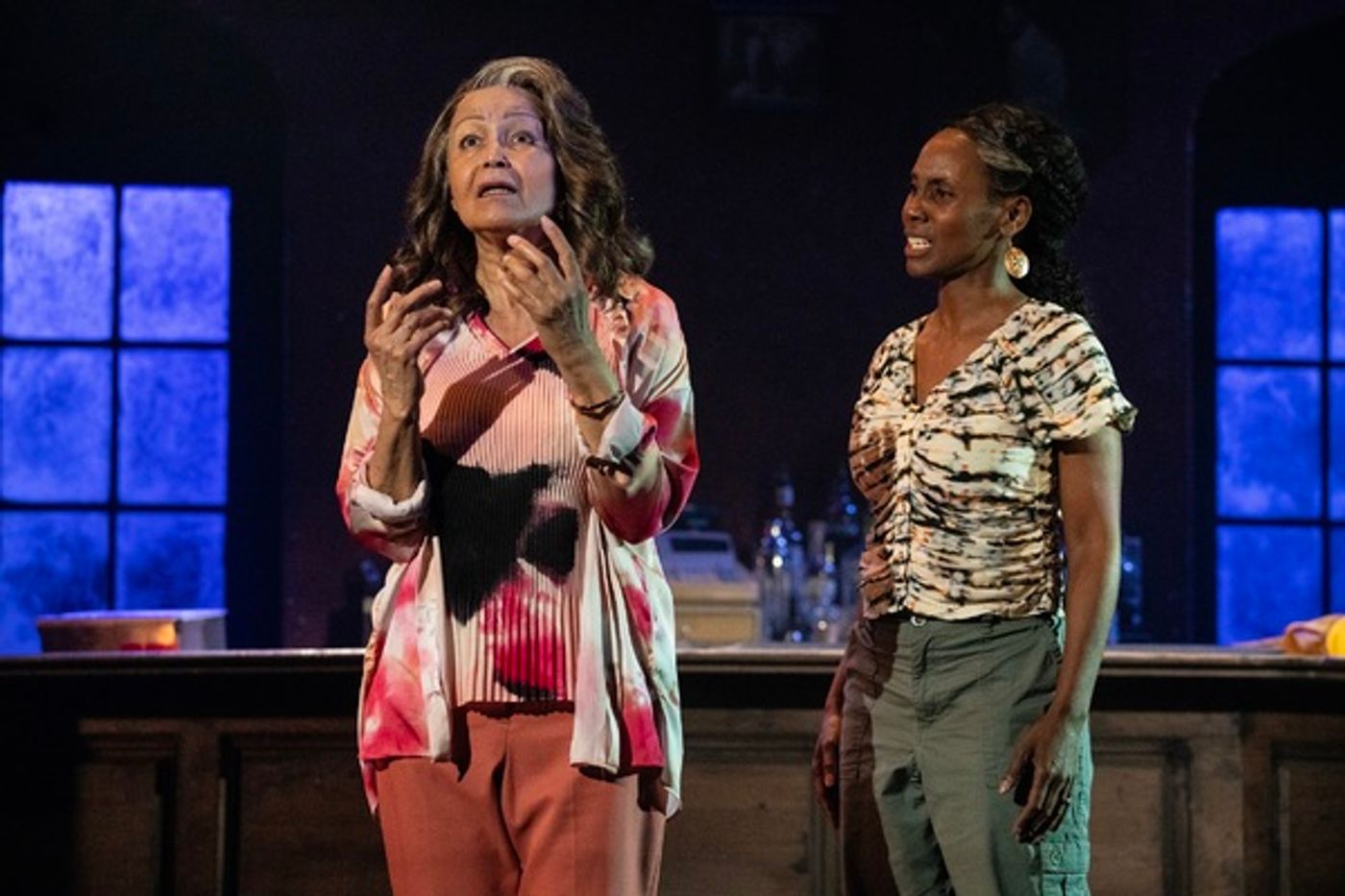 Photos: First Look at SHADOW/LAND at The Public Theater  Image