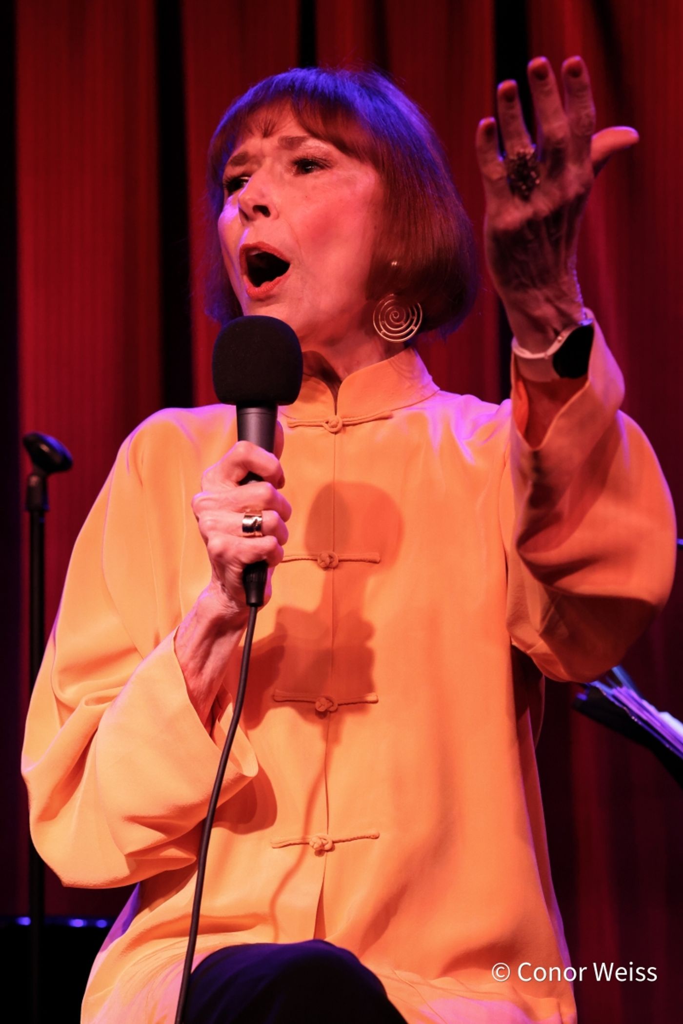Photos: Karen Akers Returns To Birdland And It's ABOUT TIME  Image