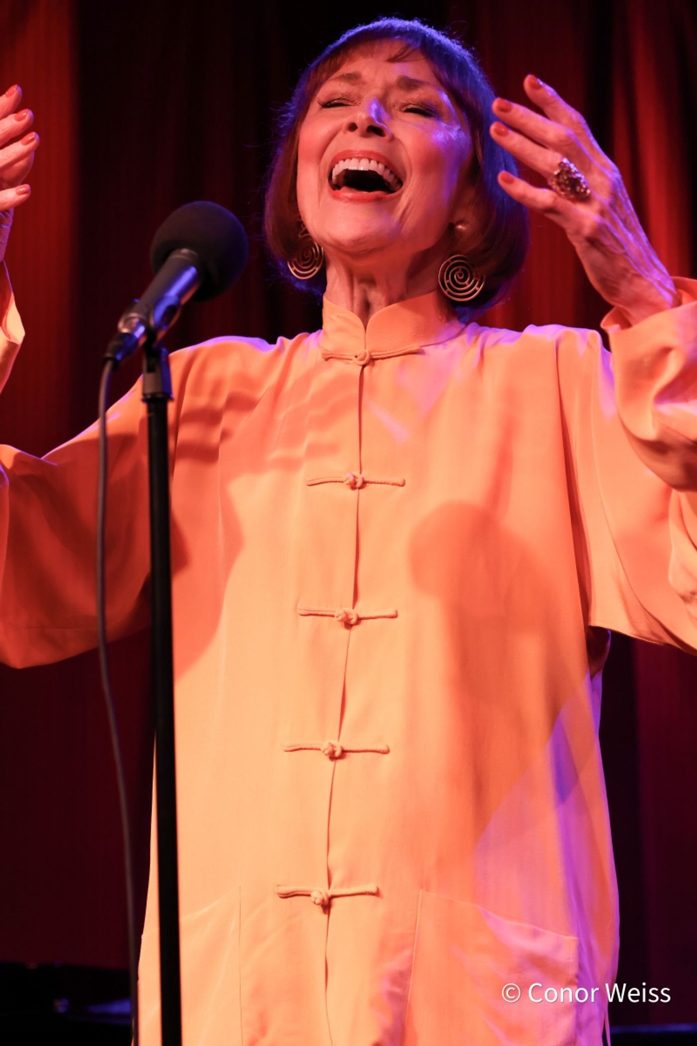 Photos: Karen Akers Returns To Birdland And It's ABOUT TIME  Image