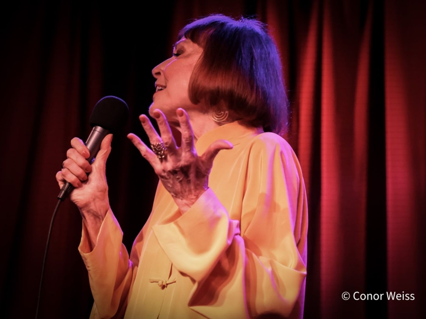 Photos: Karen Akers Returns To Birdland And It's ABOUT TIME  Image