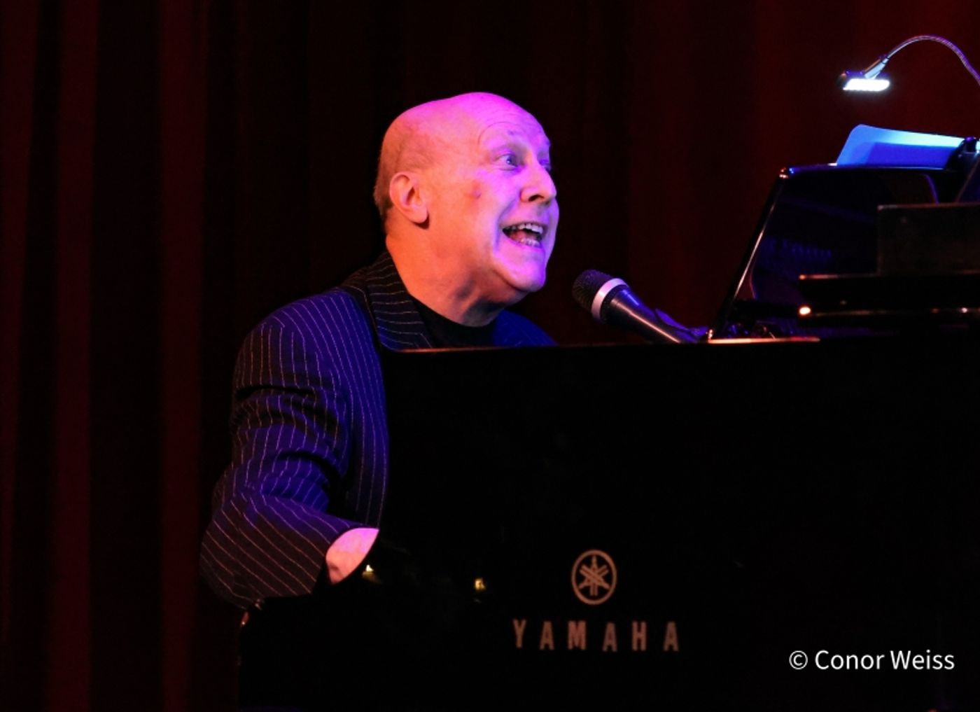 Photos: Karen Akers Returns To Birdland And It's ABOUT TIME  Image