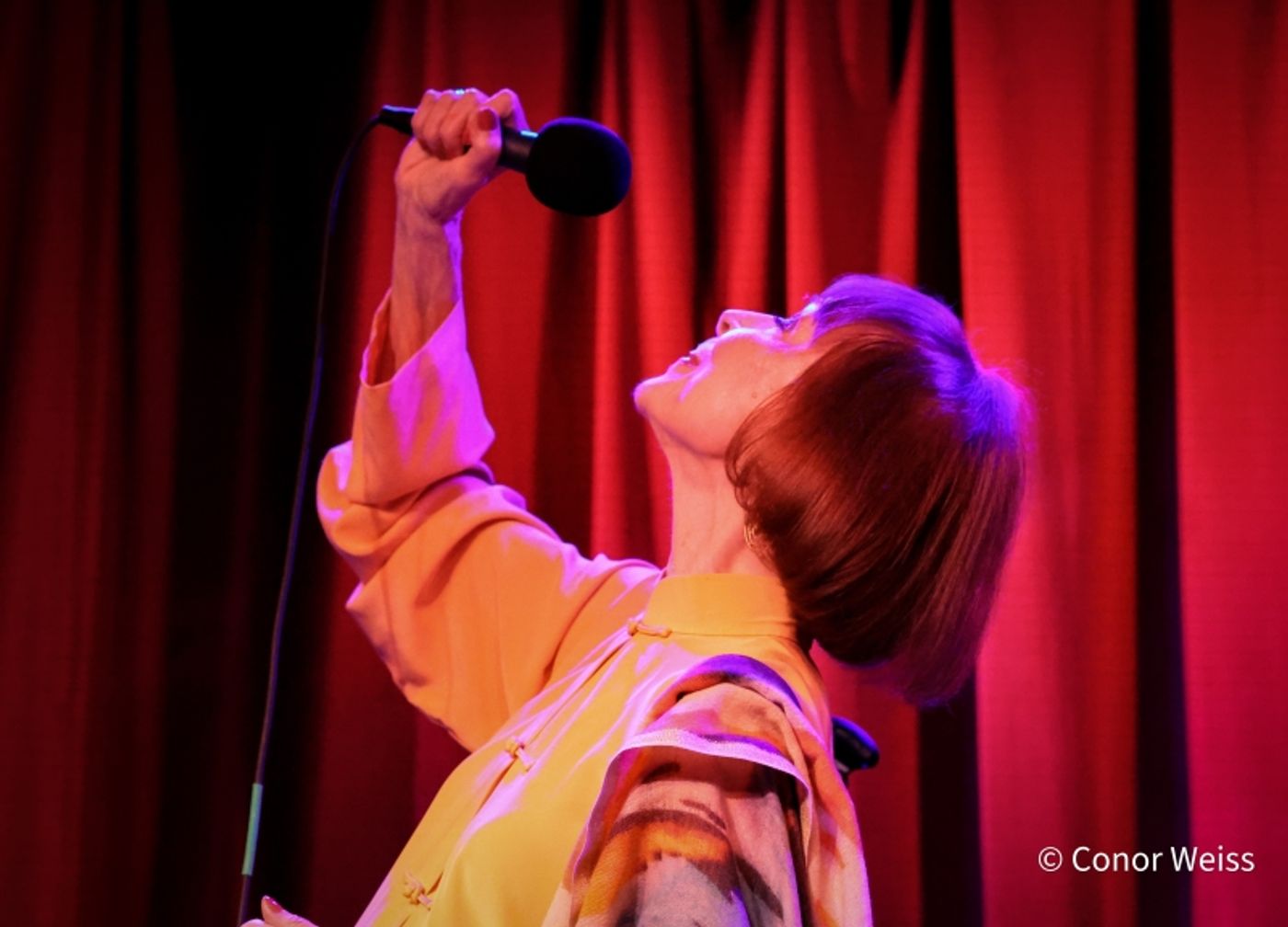 Photos: Karen Akers Returns To Birdland And It's ABOUT TIME  Image