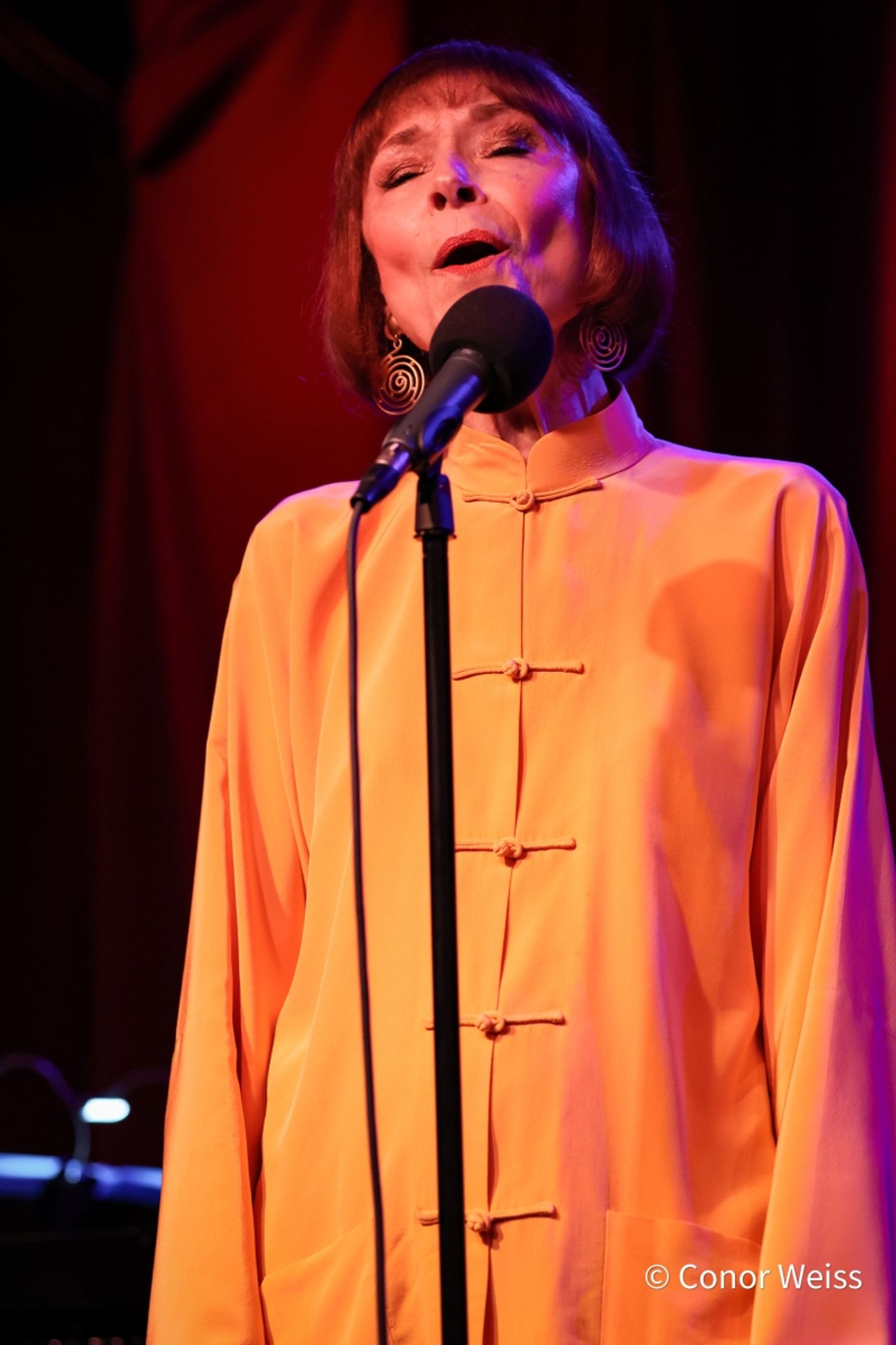 Photos: Karen Akers Returns To Birdland And It's ABOUT TIME  Image