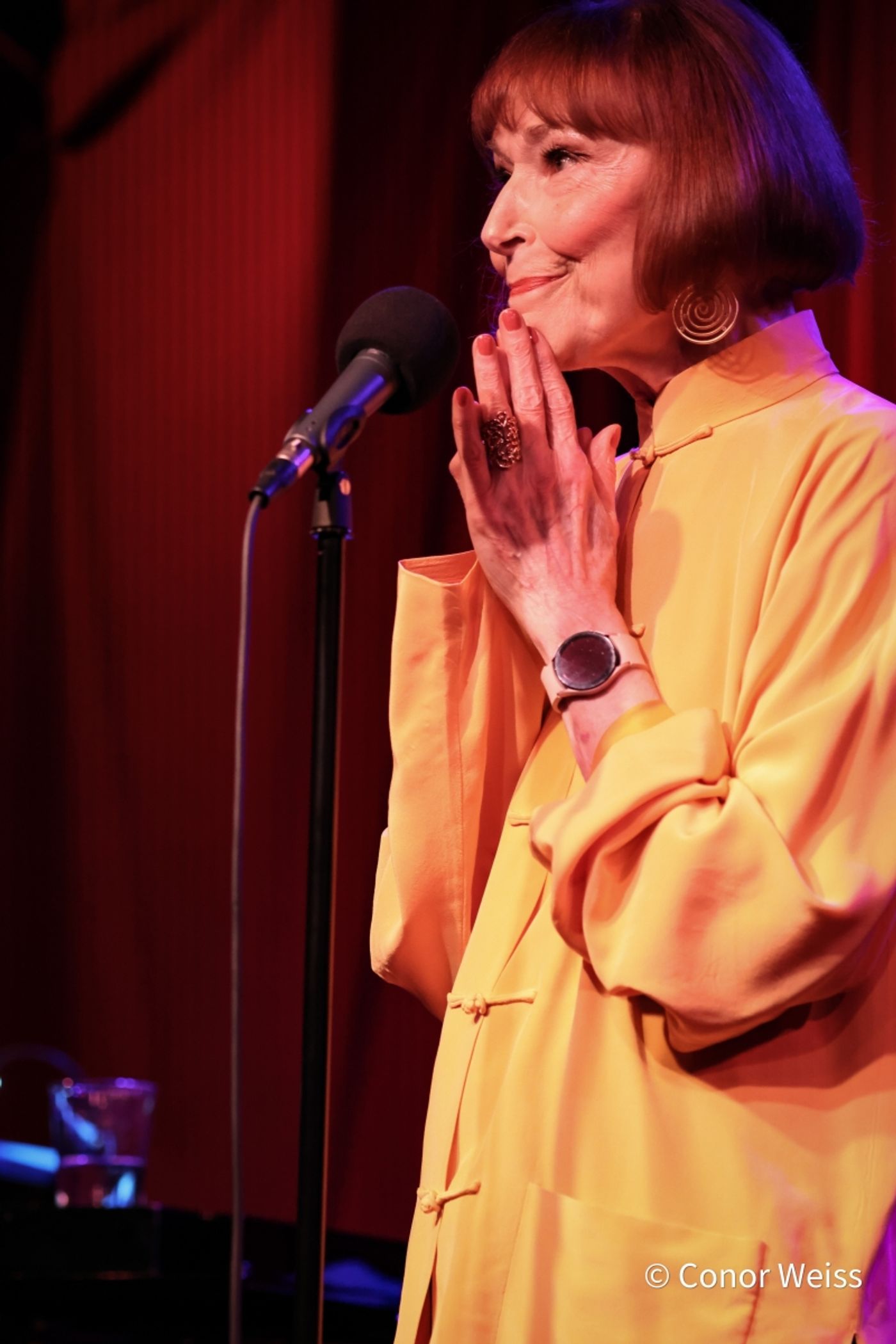 Photos: Karen Akers Returns To Birdland And It's ABOUT TIME  Image