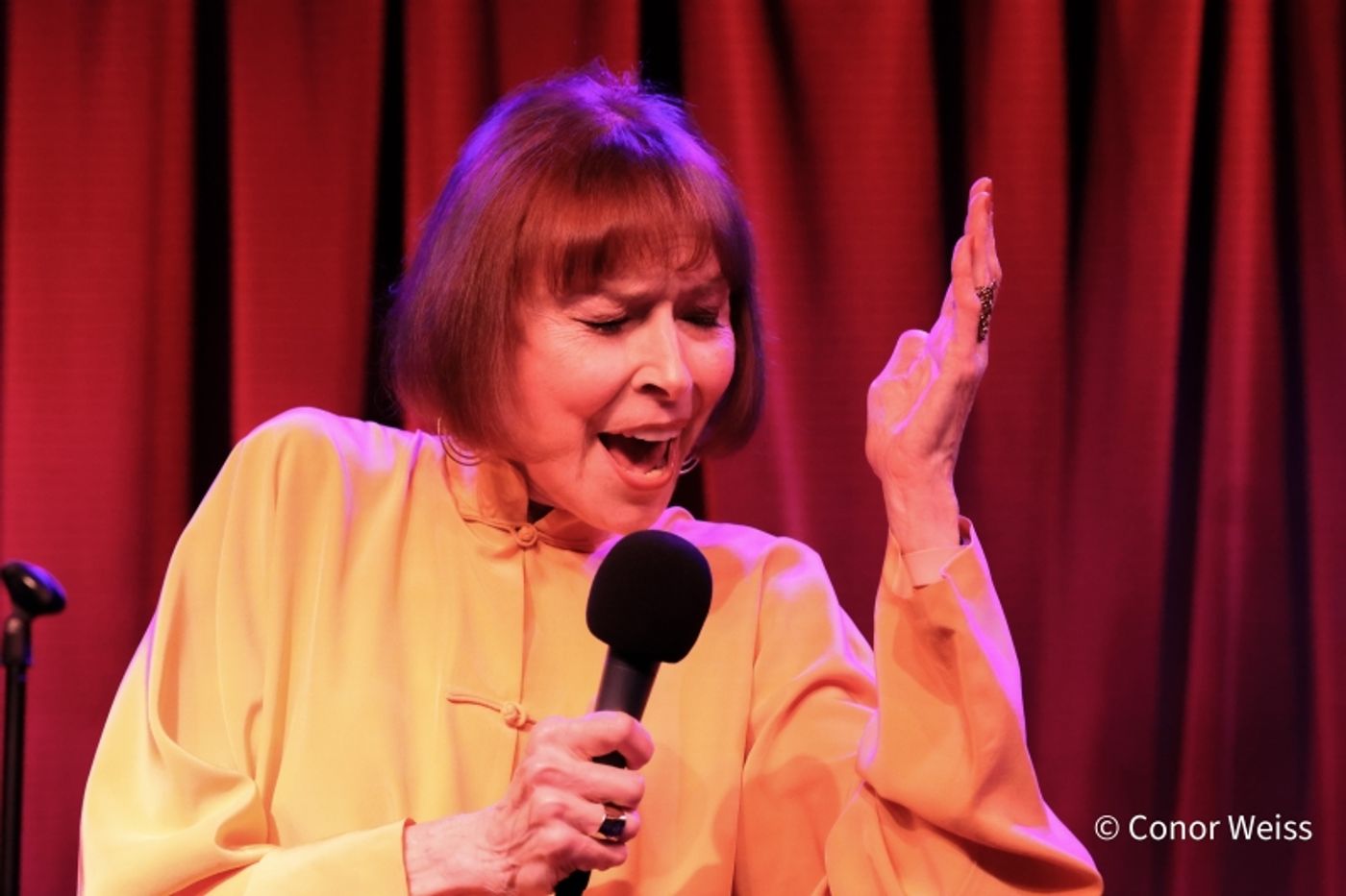 Photos: Karen Akers Returns To Birdland And It's ABOUT TIME  Image