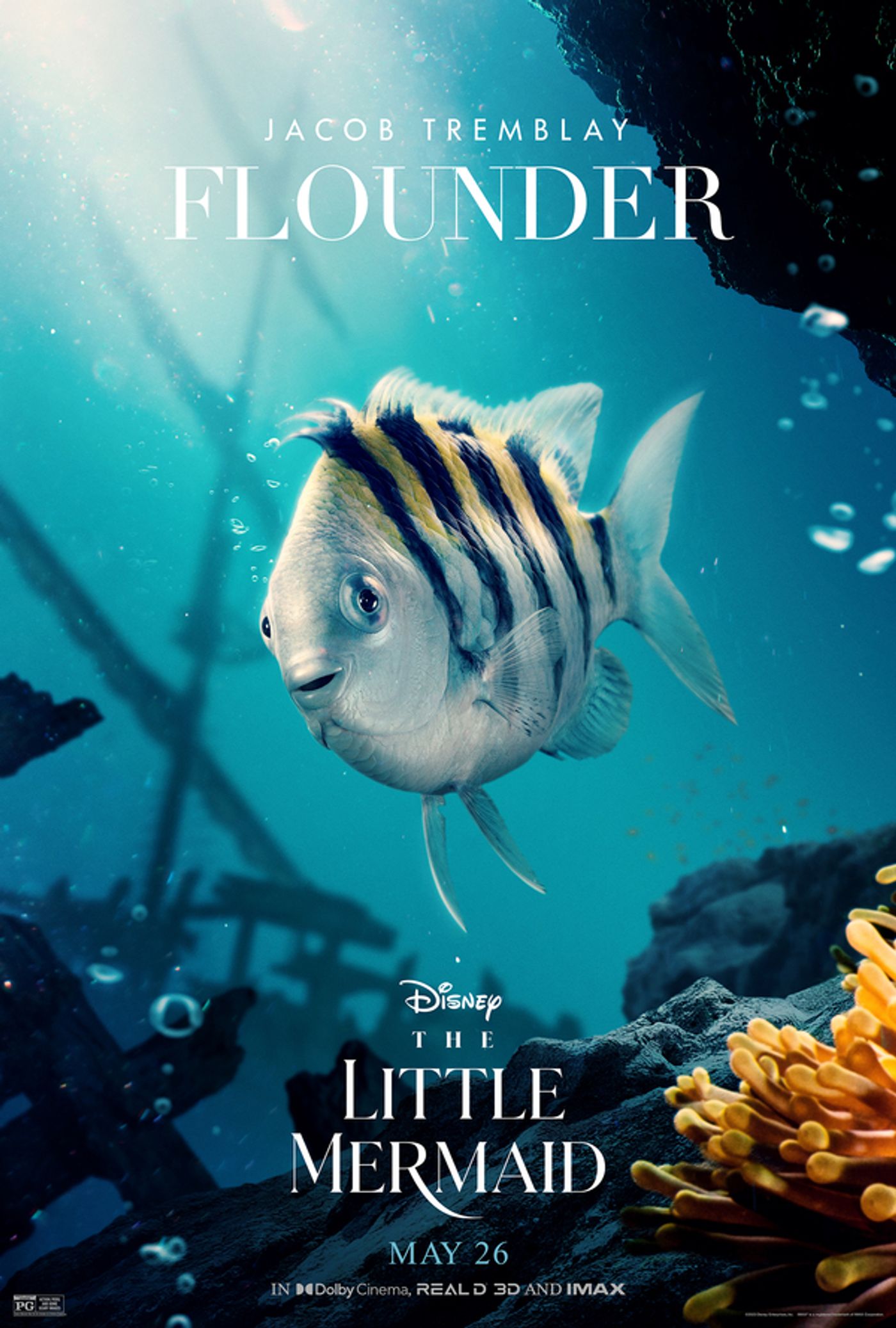 Photos: THE LITTLE MERMAID Character Portraits Feature New Looks at Flounder, Sebastian & More; IMAX Tickets on Sale Now Photos: THE LITTLE MERMAID Character Portraits Feature New Looks at Flounder, Sebastian & More; IMAX Tickets on Sale Now Image