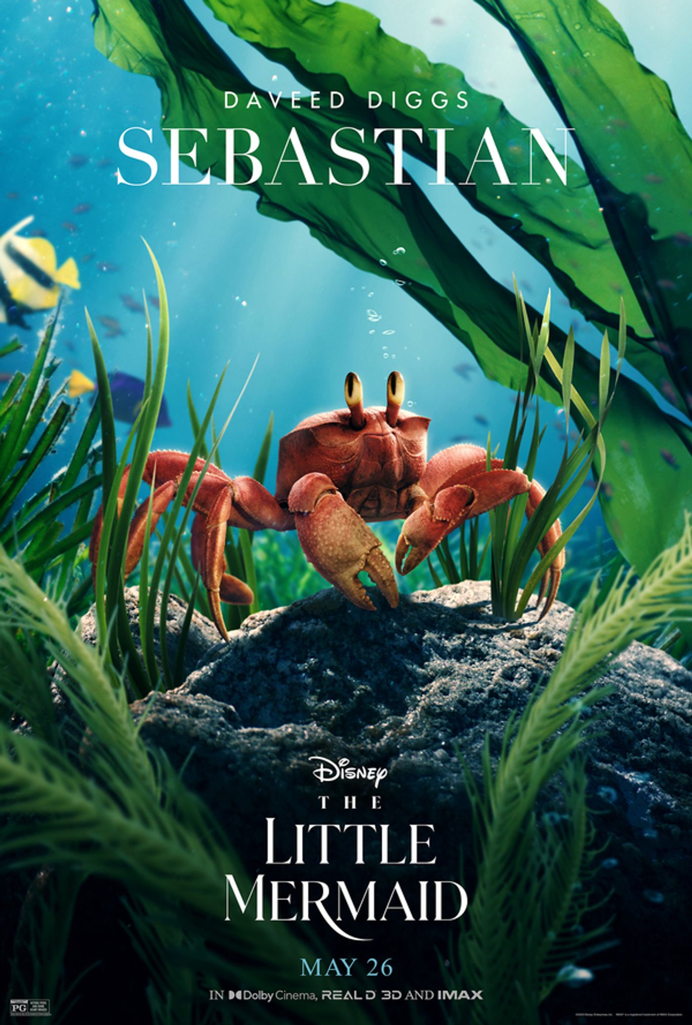 Photos: THE LITTLE MERMAID Character Portraits Feature New Looks at Flounder, Sebastian & More; IMAX Tickets on Sale Now Photos: THE LITTLE MERMAID Character Portraits Feature New Looks at Flounder, Sebastian & More; IMAX Tickets on Sale Now Image