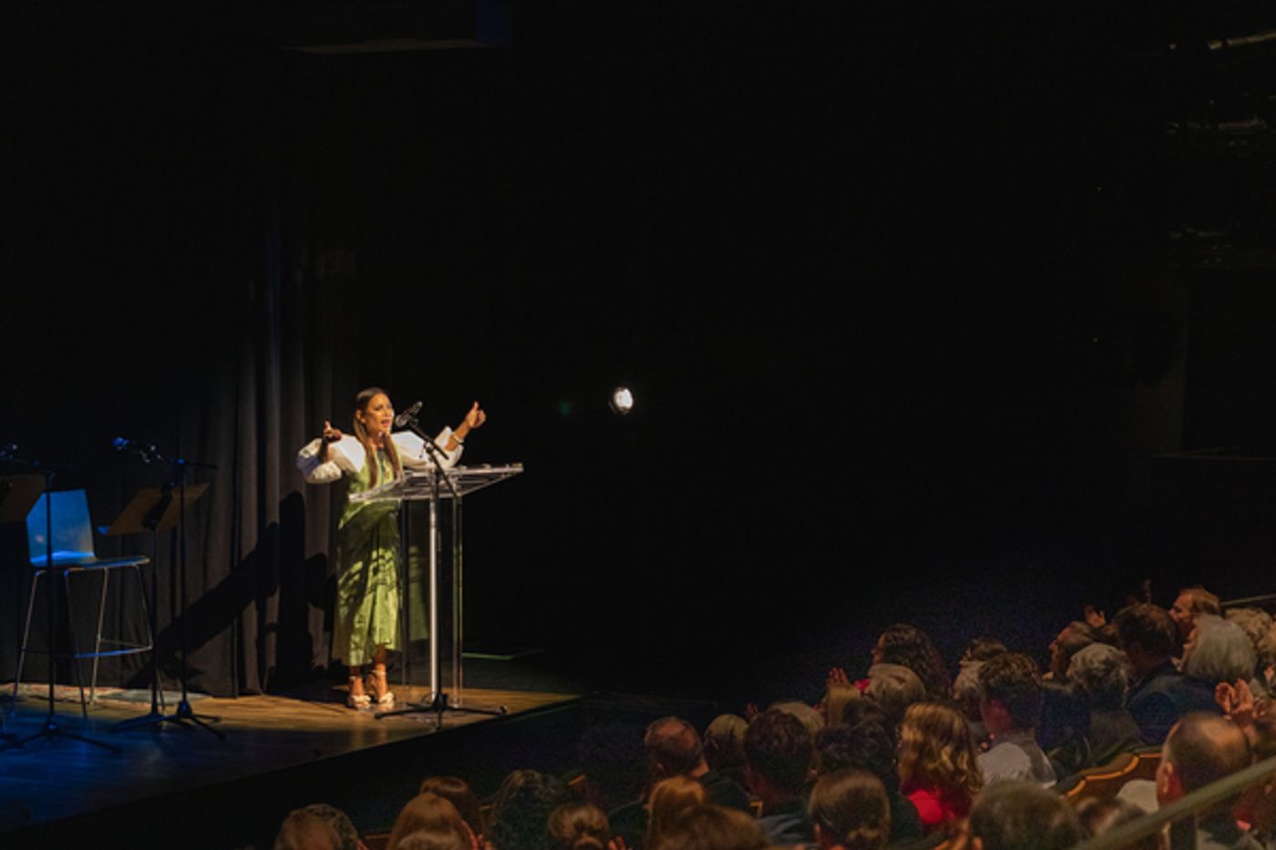 Photos: See Stephanie Hsu, Sarah Ruhl & More at Signature Theater's Gala  Image