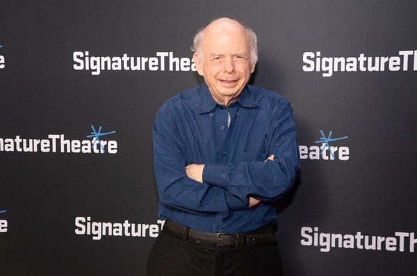 Wallace Shawn Photo