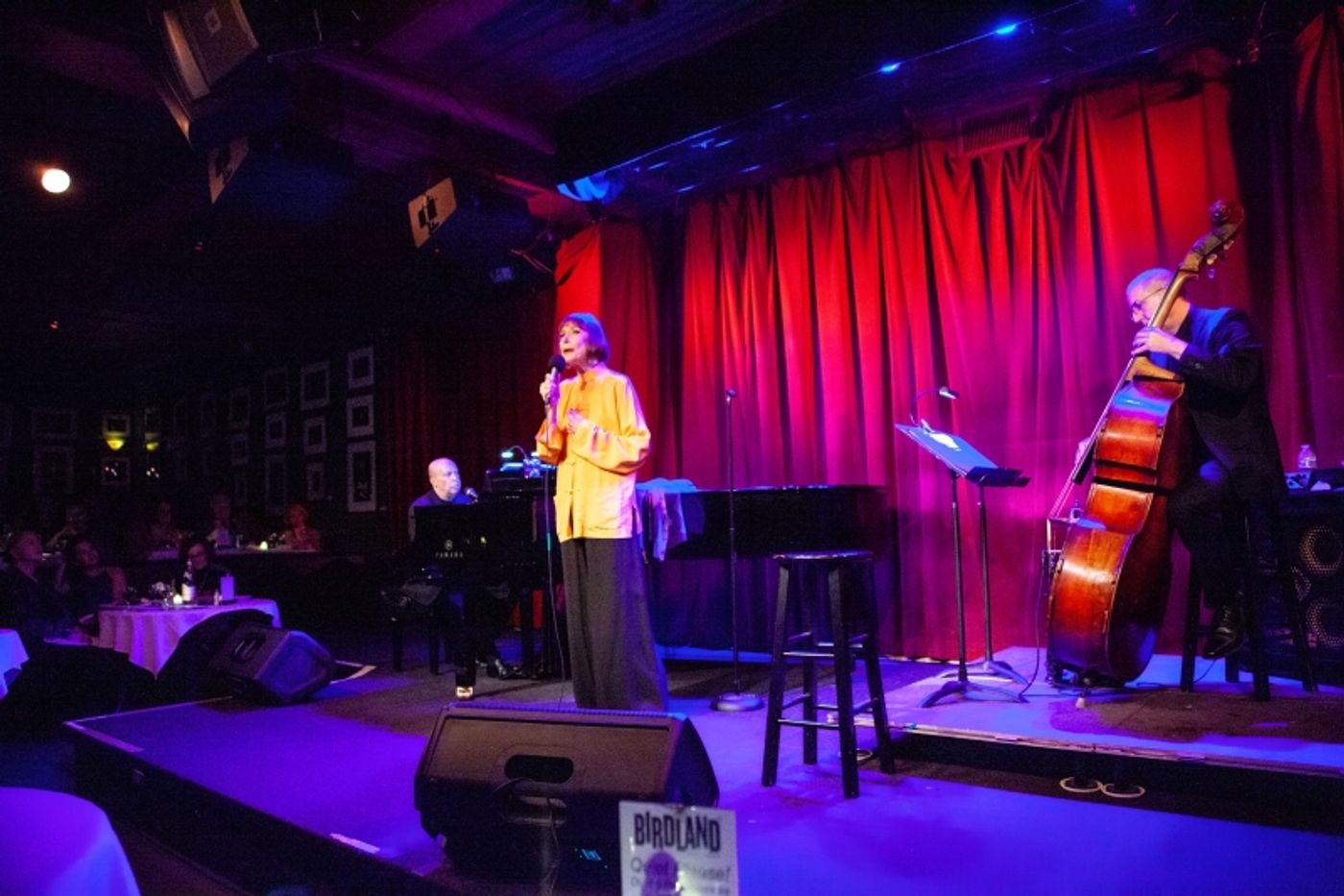 Review: Karen Akers Demonstrates Star And Staying Power With ABOUT TIME at Birdland  Image