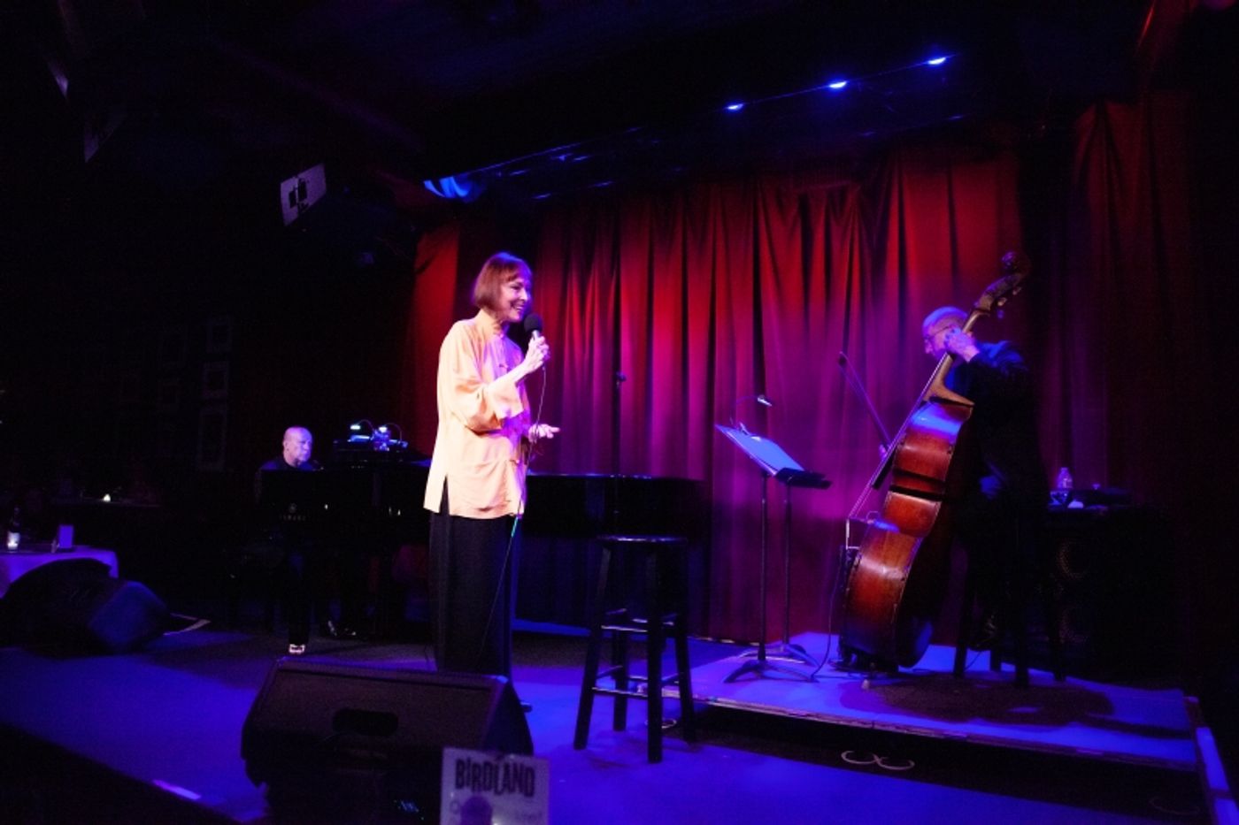 Review: Karen Akers Demonstrates Star And Staying Power With ABOUT TIME at Birdland  Image