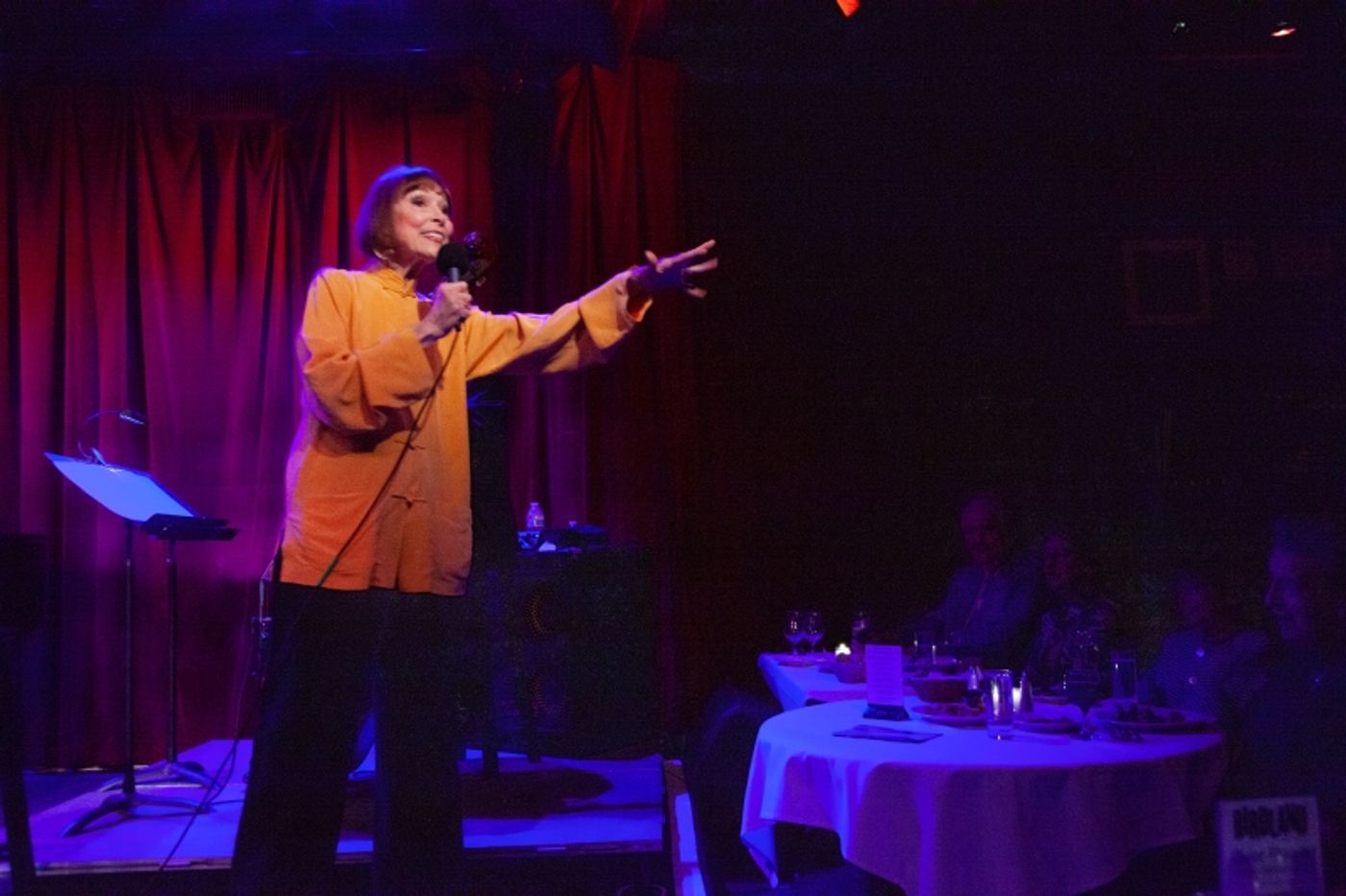 Review: Karen Akers Demonstrates Star And Staying Power With ABOUT TIME at Birdland  Image