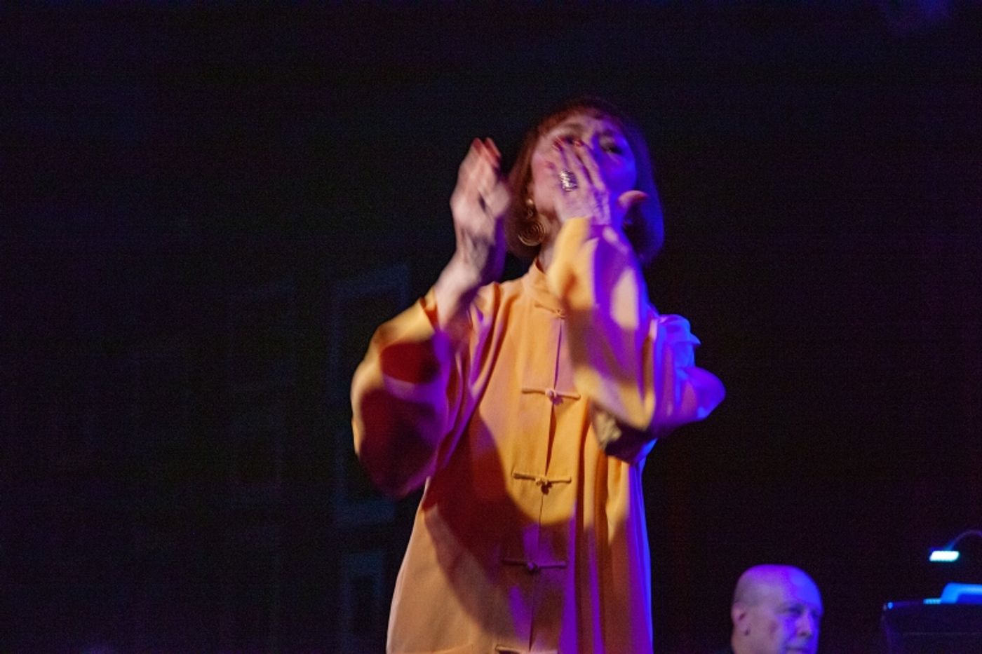 Review: Karen Akers Demonstrates Star And Staying Power With ABOUT TIME at Birdland  Image