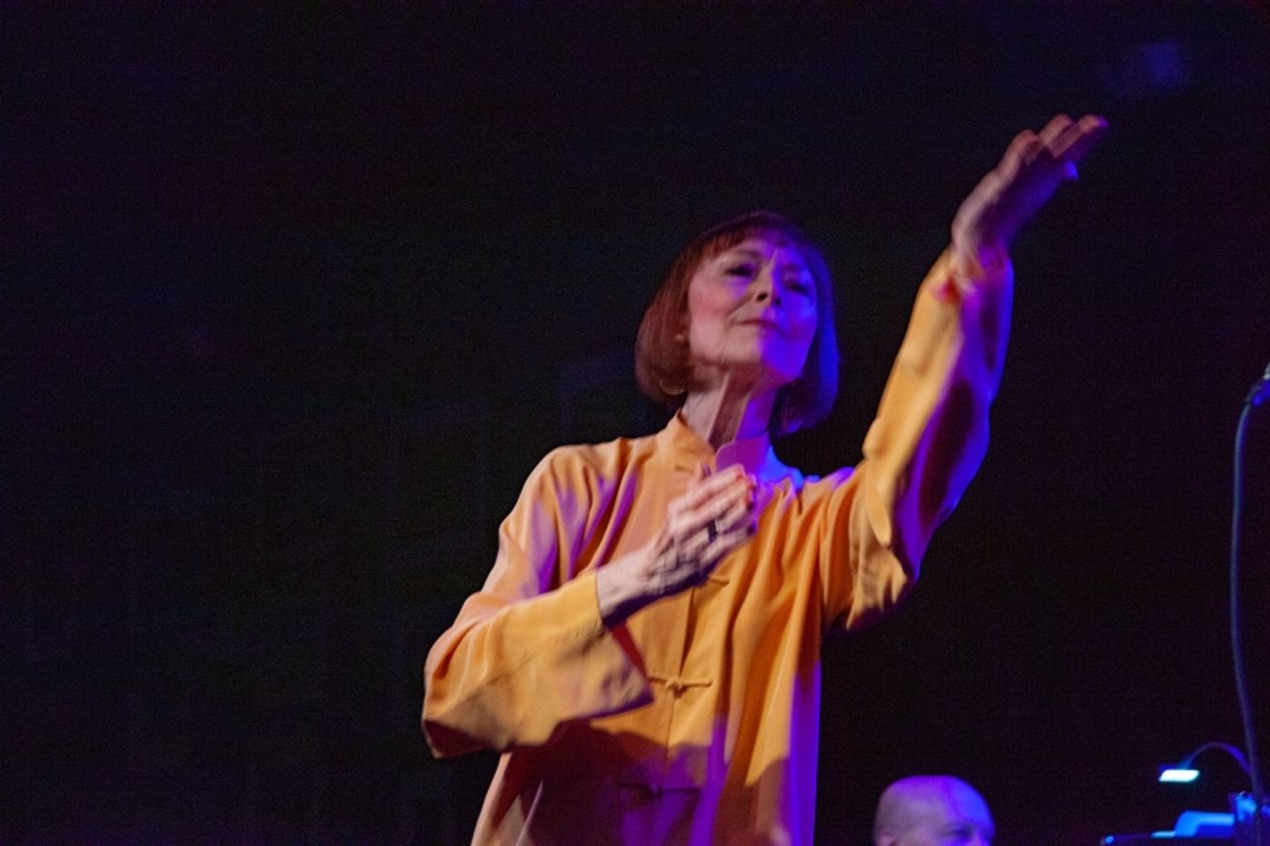 Review: Karen Akers Demonstrates Star And Staying Power With ABOUT TIME at Birdland  Image