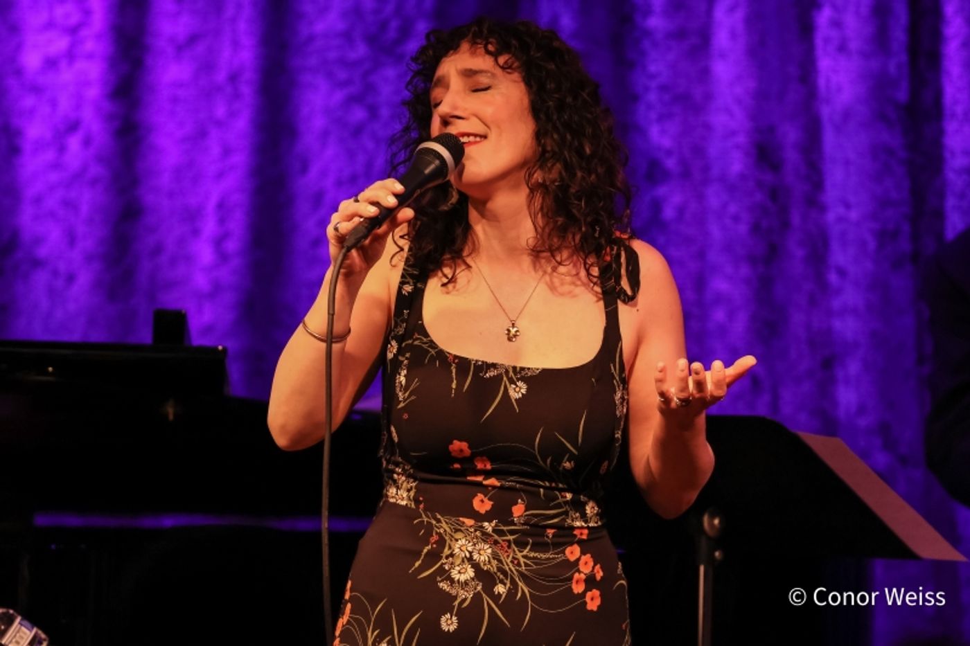 Photos: THE GABRIELLE STRAVELLI TRIO at Birdland Theater By Photographer Conor Weiss  Image