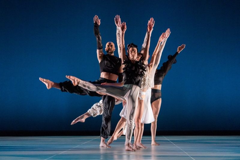 Review: Trisha Brown Dance Company Presents Its First Choreographic Commission at The Joyce Theater Review: Trisha Brown Dance Company Presents Its First Choreographic Commission at The Joyce Theater Image