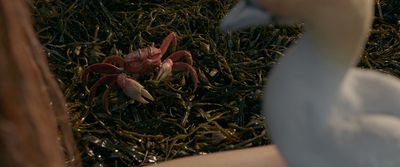 Halle Bailey as Ariel, Sebastian (voiced by Daveed Diggs), and Scuttle (voiced by Awk Photo