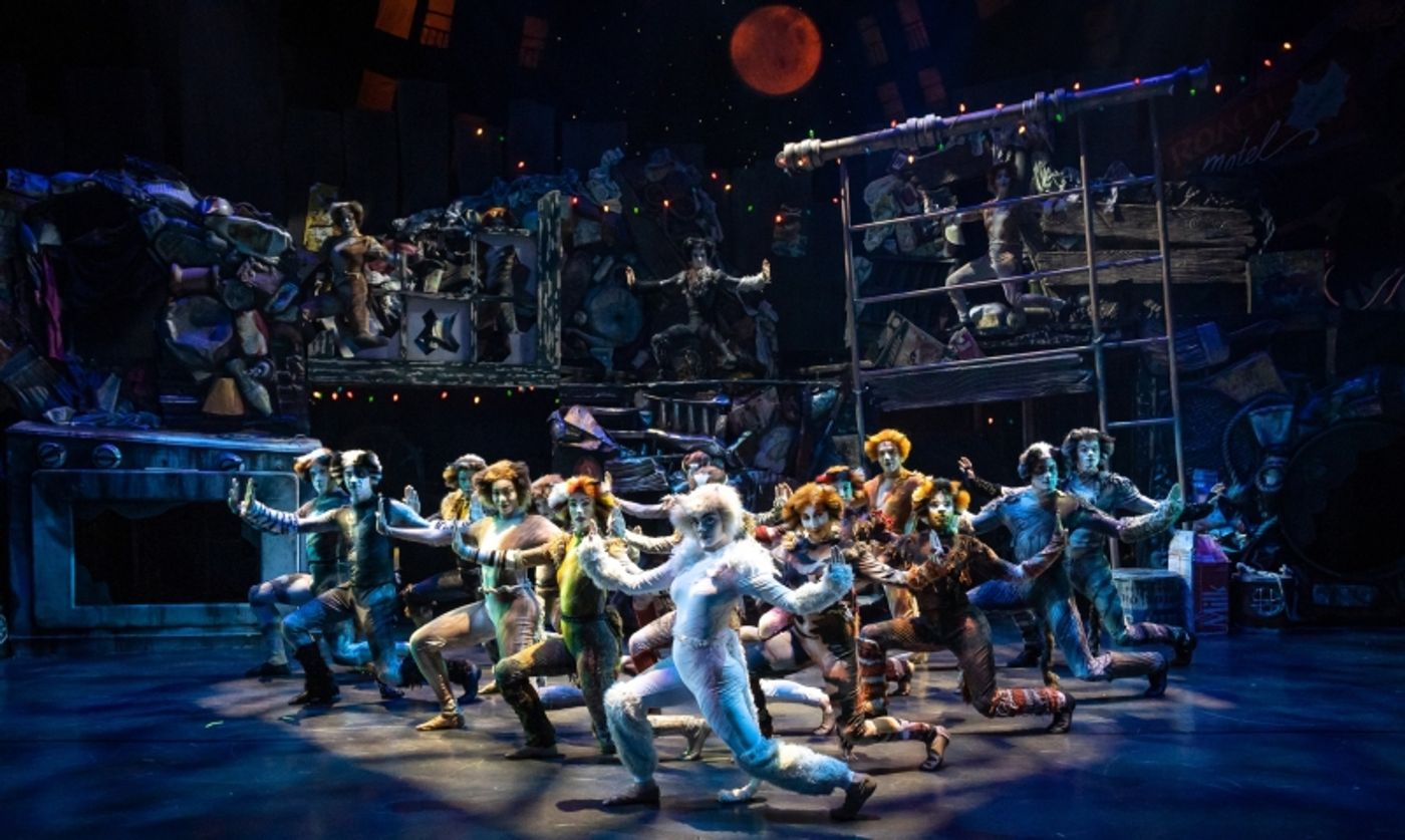 Review: CATS IS A “MEMORY” YOU WON'T FORGET at City Springs Theatre Company  Image