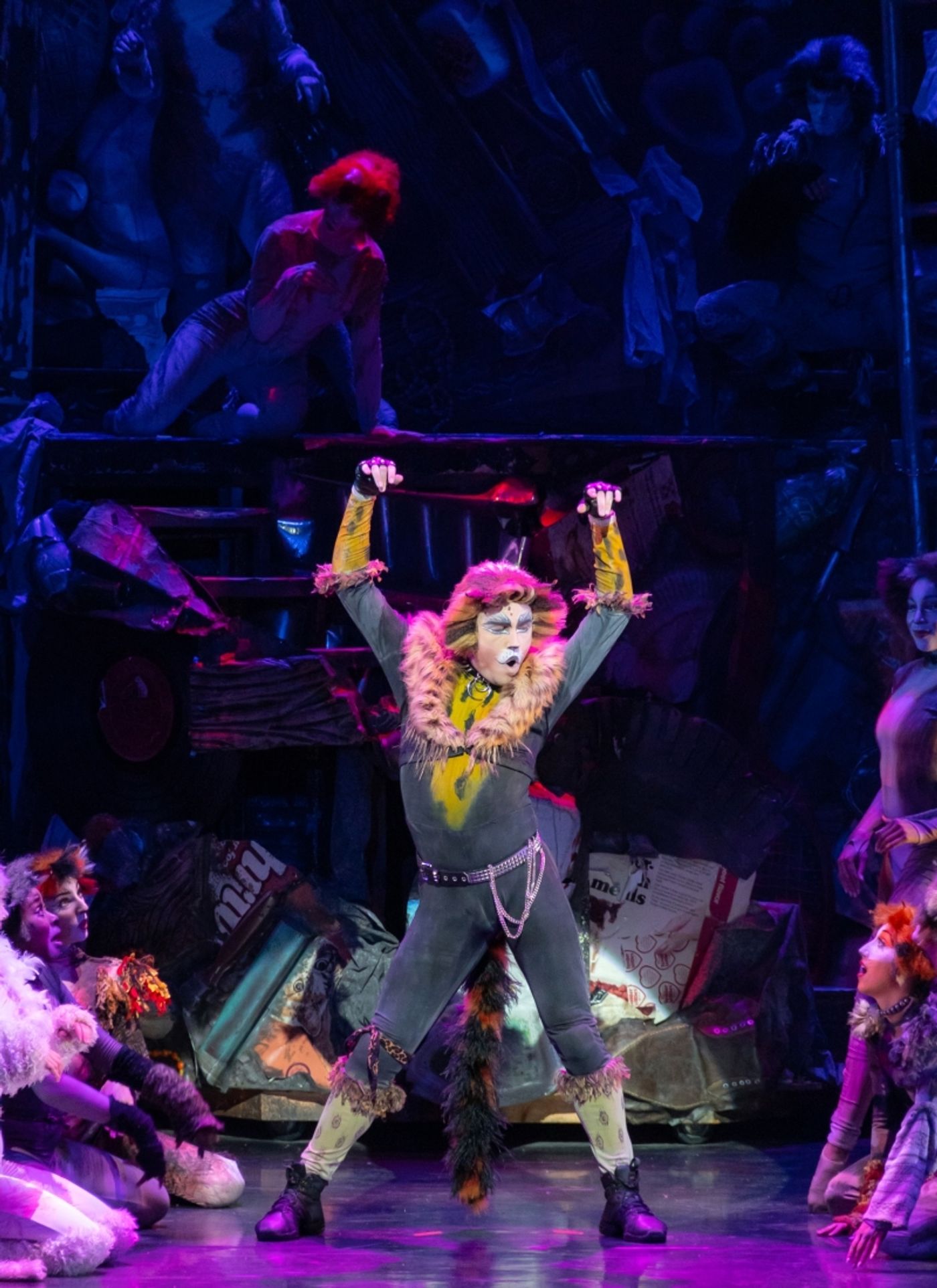 Review: CATS IS A “MEMORY” YOU WON'T FORGET at City Springs Theatre Company  Image