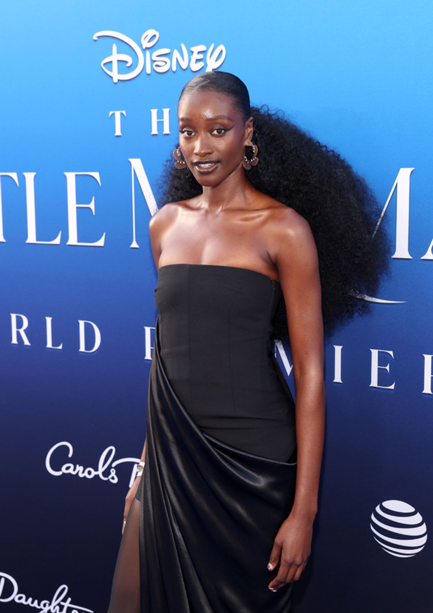 PHOTO FLASH: Premiere de LA SIRENITA en Los Ángeles  Image