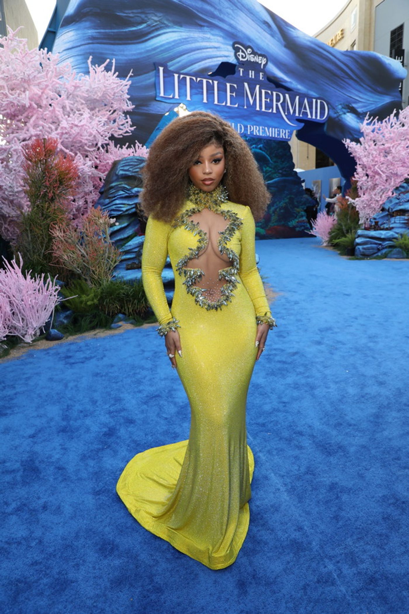 PHOTO FLASH: Premiere de LA SIRENITA en Los Ángeles  Image