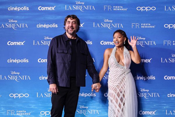 Javier Bardem and Halle Bailey Photo