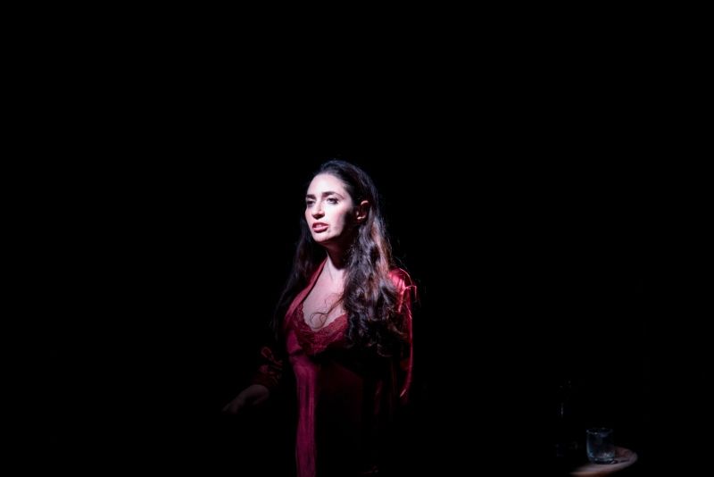 Review: MEDEA LA DIVINA al TEATROSOPHIA  Image