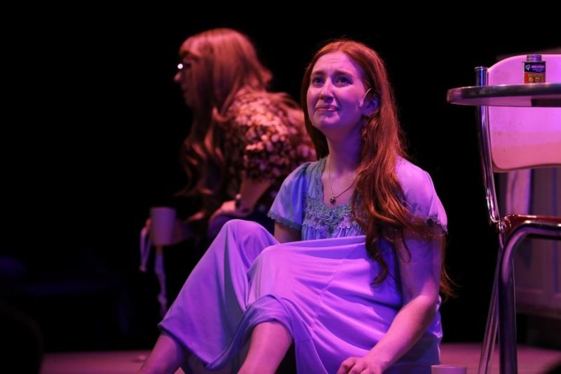 Review: BETH HENLEY'S CRIMES OF THE HEART At Argenta Community Theatre  Image