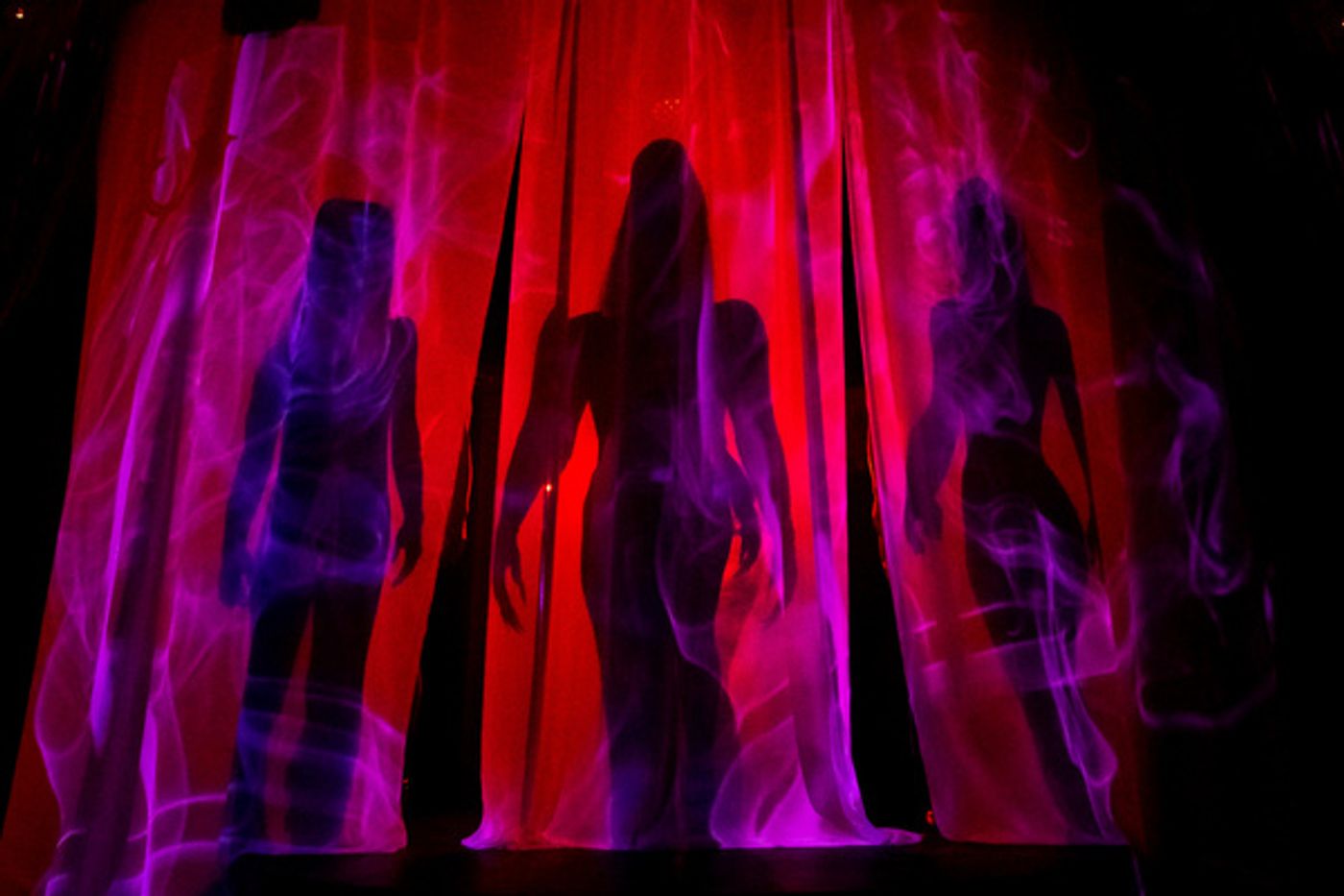 Photos: First Look at NOIR At Can Can  Image