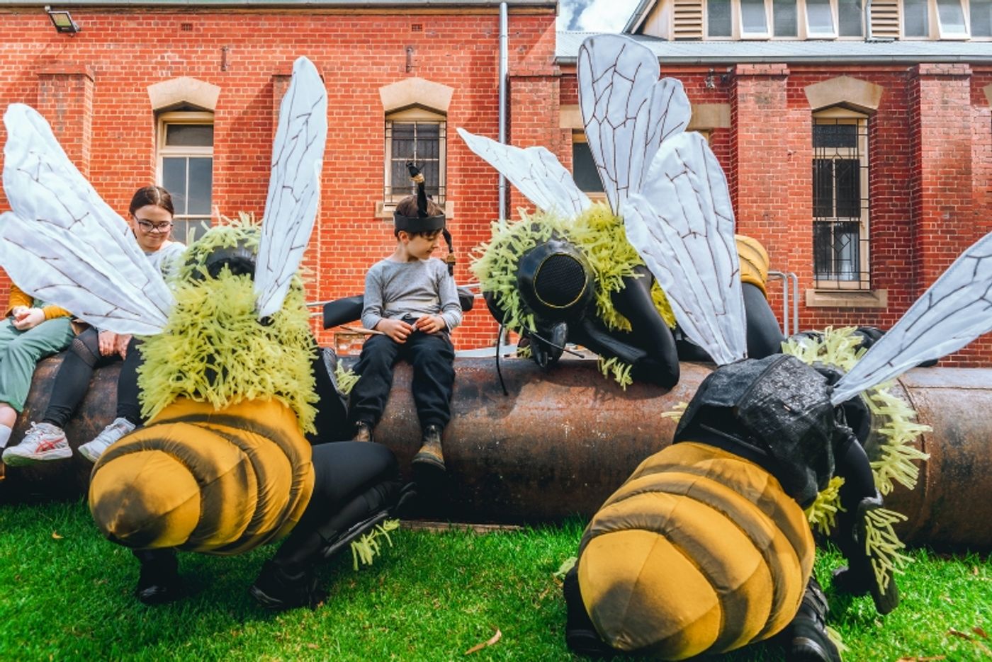 Photo of The Bees