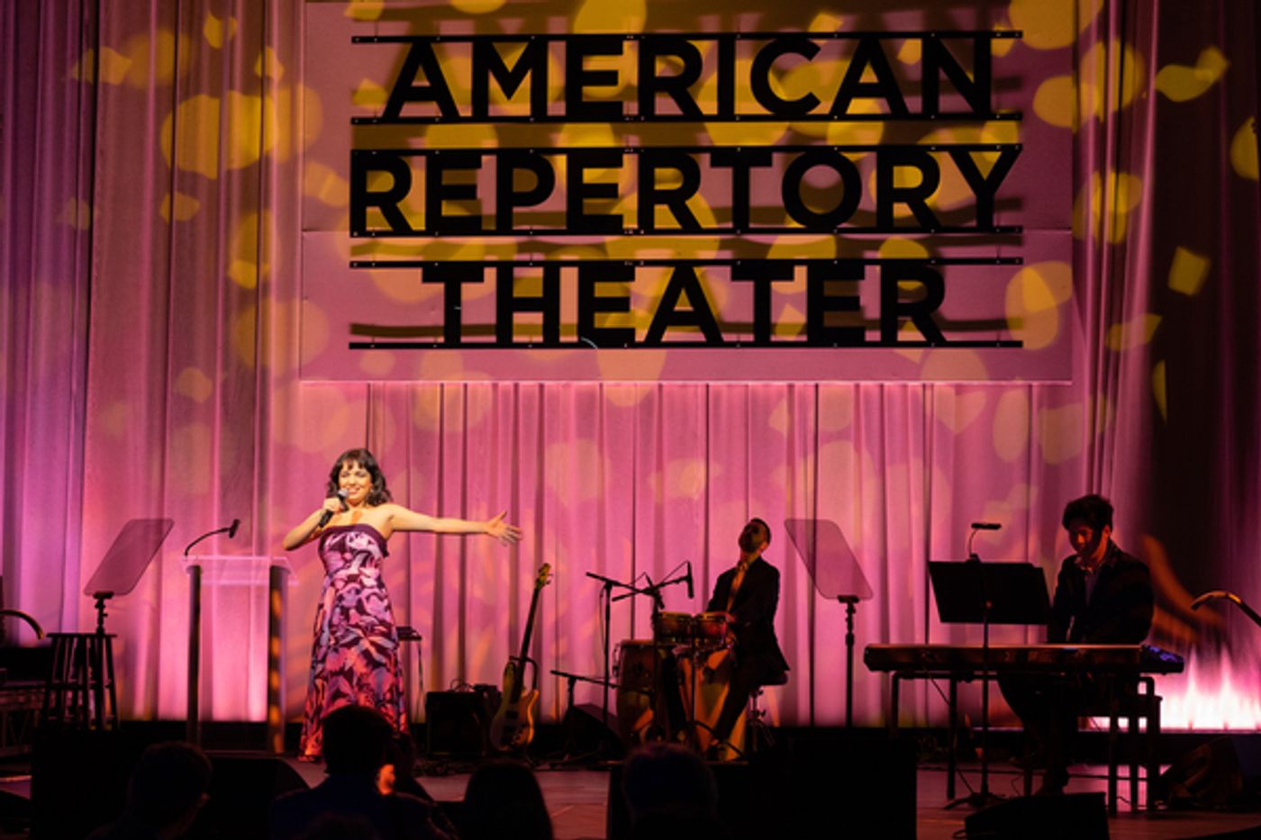 Photos: Inside American Repertory Theater's Gala Honoring Lawrence S. Bacow and Adele Fleet Bacow  Image