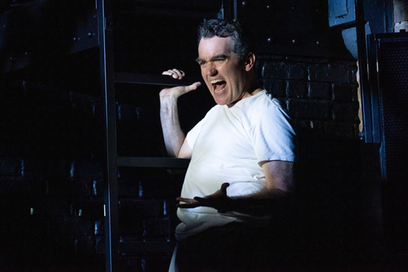 Photos: First Look at Kelli O'Hara & Brian d'Arcy James in DAYS OF WINE AND ROSES  Image
