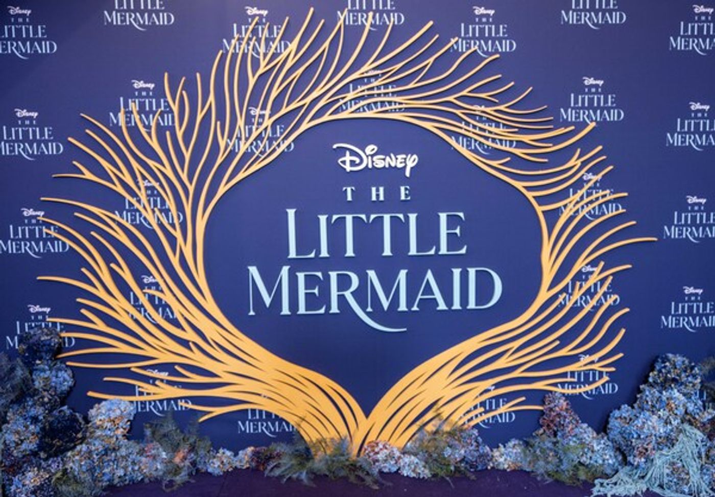 Photos: See Halle Bailey, Melissa McCarthy & More at THE LITTLE MERMAID's Australian Premiere  Image