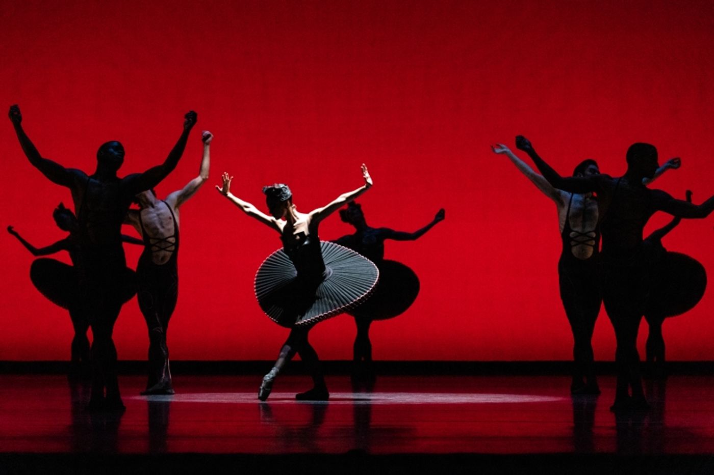 Interview: Lead Ballerina Tyler Donatelli Gives Us a Sneak Peek of Houston Ballet's Daring and Exciting DIVERGENCE Triple Bill  Image