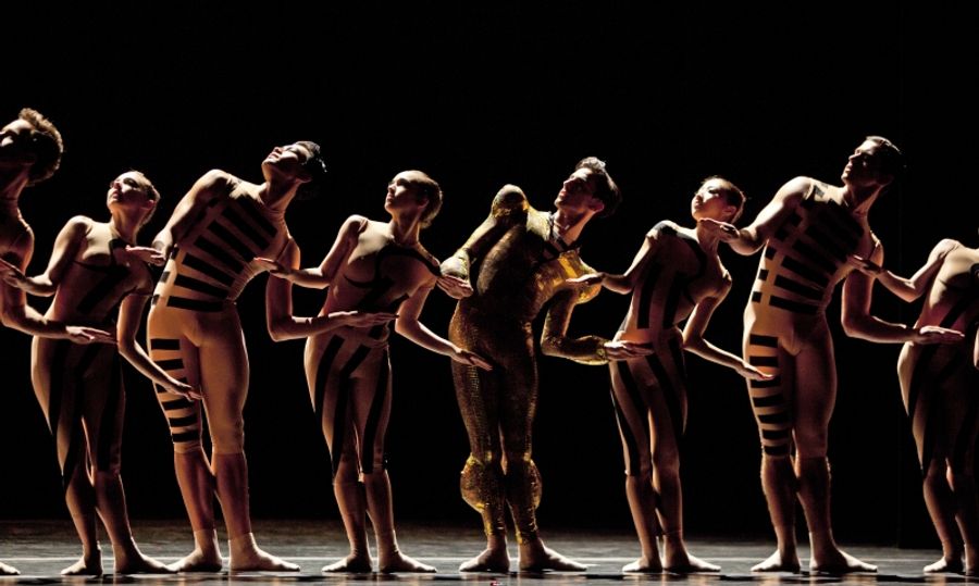 Interview: Lead Ballerina Tyler Donatelli Gives Us a Sneak Peek of Houston Ballet's Daring and Exciting DIVERGENCE Triple Bill Image