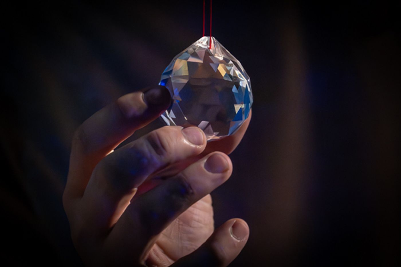 Photos: First look at Alex Oliszweski's The Survivors Way  Image