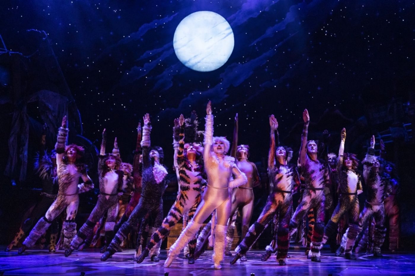 Review: CATS is the Latest Musical to Prowl Onto the Vancouver Stage  Image