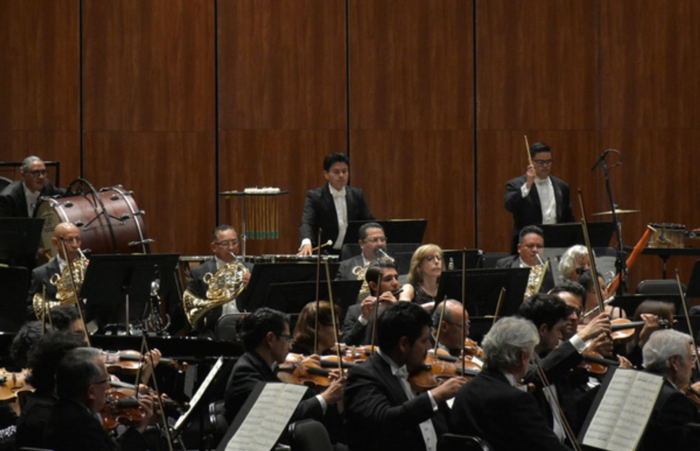 Photos: La OSN Presentó Su Programa 14 Con Obras De Blas Galindo Wagner, Claudia Herrerías Y Strauss Photos: La OSN Presentó Su Programa 14 Con Obras De Blas Galindo Wagner, Claudia Herrerías Y Strauss Image